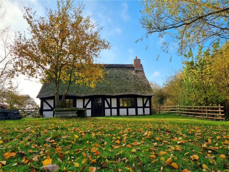 Picture No. 21